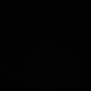 Meet your Posher, Darrell